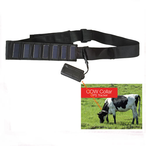 T500S solar GPS livestock tracker collar | 5000mA battery 